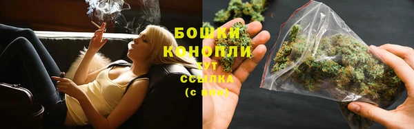 шишки Белокуриха