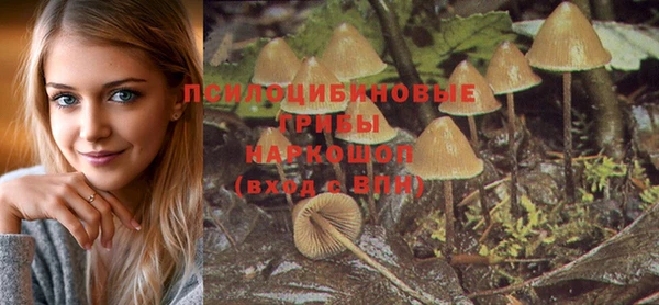 шишки Белокуриха