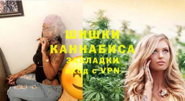 шишки Белокуриха