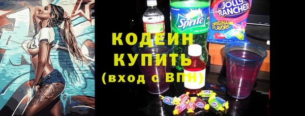 шишки Белокуриха