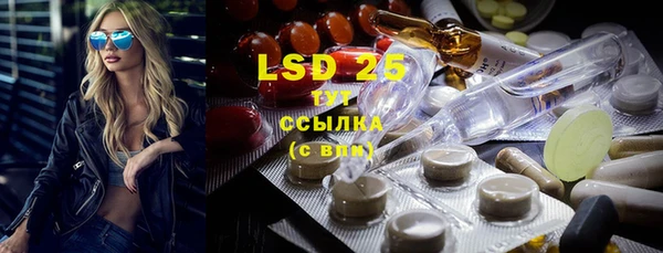 шишки Белокуриха