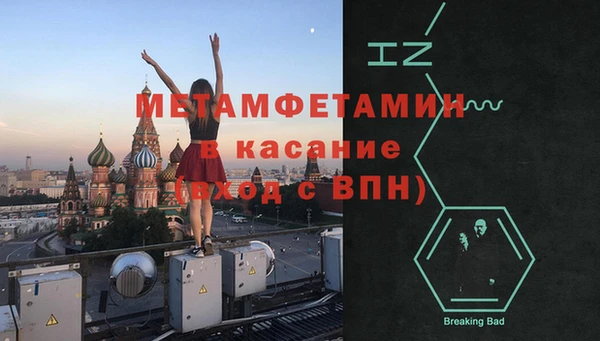 шишки Белокуриха