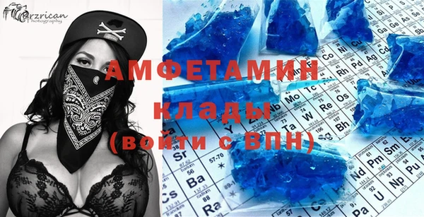шишки Белокуриха