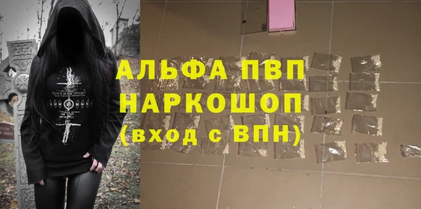 шишки Белокуриха